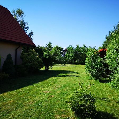 Ustron Dom Aneta Villa Exteriör bild